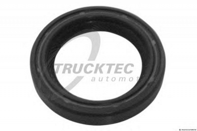 TRUCKTEC AUTOMOTIVE 0810024 -  Уплотняющее кольцо, распределительный вал